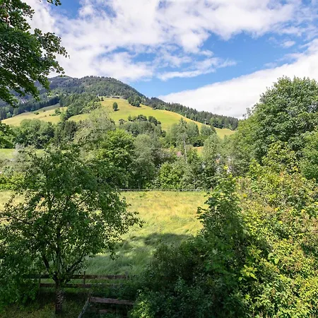 Almweg 1 * Kirchberg in Tirol